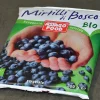 MIRTILLI ASIAGO BIO 300GR - immagine 2
