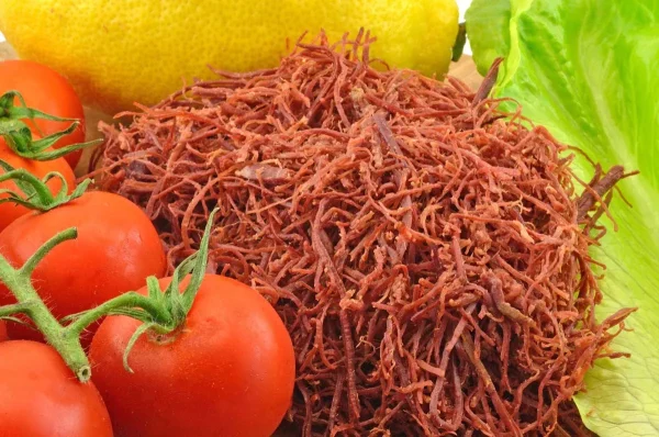 SFILACCI DI CAVALLO 100GR