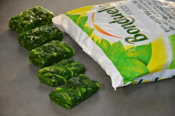 SPINACI FOGLIA PORZIONATI BONDUELLE 1KG