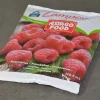 LAMPONI ASIAGO 300GR - immagine 3