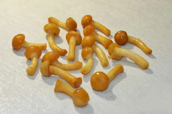 FUNGHI FAMIGLIOLA GIALLA ASIAGO 300GR