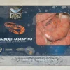 CODE GAMBERO ARGENTINA C1 “BORDO” 400GR - immagine 2