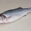 BRANZINI INTERI PESCATI 1000/2000 PV - immagine 2