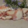 TENTACOLI DI TOTANO GIGANTE COTTI TAGLIATI 800GR - immagine 3