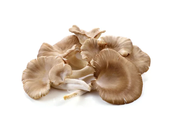 FUNGHI PLEUROTUS
400 g