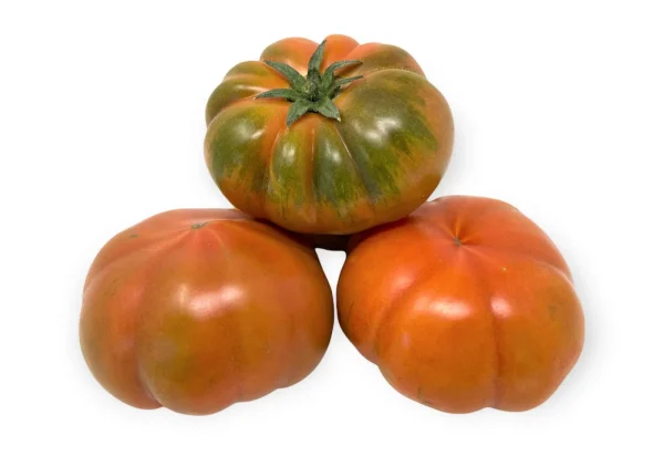 Pomodoro Costoluto Varietà Marinella