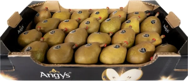 Pere Angys