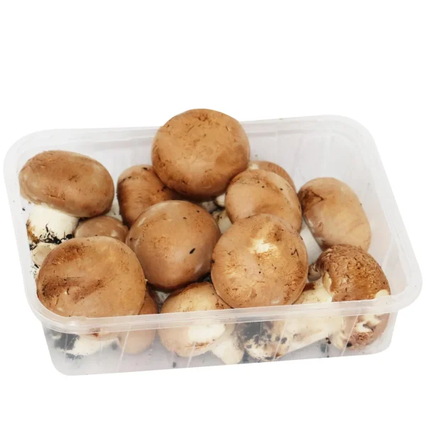 Funghi Champignon Crema 300 g