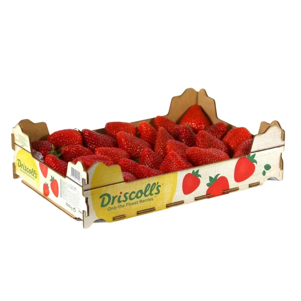Fragole 1 kg