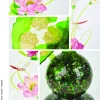 Fragile – Lo zucchero artistico, tecniche e filosofia del campione del mondo - immagine 9