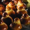 MATER FERMENTUM – La genesi della pasta fermentata - immagine 7