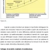 SHELF-LIFE Tecniche di Monitoraggio e Qualità - immagine 5