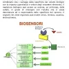 SHELF-LIFE Tecniche di Monitoraggio e Qualità - immagine 4