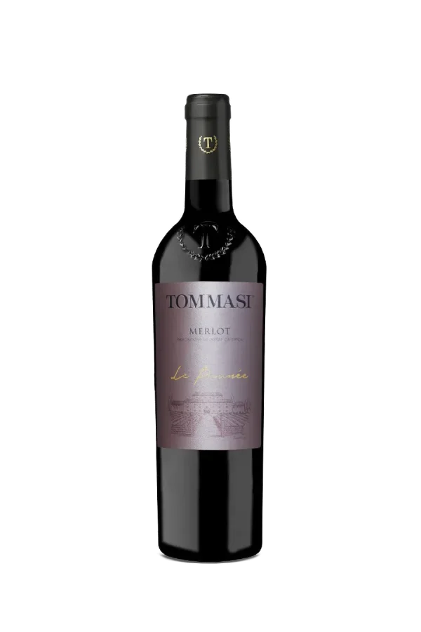 Le Prunée Merlot Trevenezie IGT