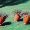 Vaso da giardino Santavase di Serralunga - immagine 5