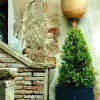 Fioriera Altea di Unosider - immagine 4