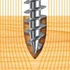 Viti TORX Interamente o Parzialmente Filettate per Legno Panelvit TX Autofilettanti Senza Preforo Lubrificate Anti Corrosione + Omaggio un Bit T20 Per Confezione - immagine 4