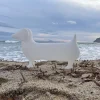 Animale arredo cane bassotto Otto - immagine 3