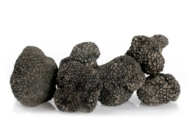 Tartufo Nero Uncinato “Tuber Uncinatum Chatin”