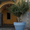Vaso Bordato Liscio di Serralunga - immagine 5