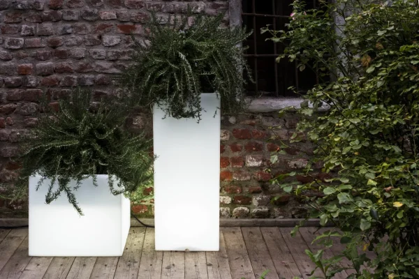 Vaso illuminato Cubotti di Serralunga