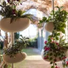 Fioriera Green Pills di Serralunga - immagine 3